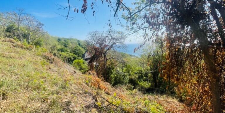 Price Slashed! Own a Slice of Paradise for Just $50,000 in San Juan del Sur