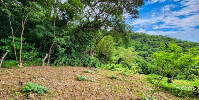 🌿 Price Update Alert: Own a 20-Acre Tropical Paradise in Baston for Just $149,000! 🌿