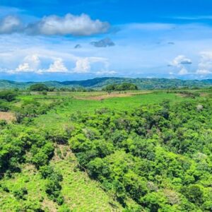 20 Acre Canyon Hills Estate Parcel