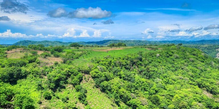 The Price is Right: Unveiling Your 20-Acre Paradise in San Juan del Sur!