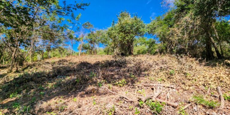Last Chance! Developer’s Final Lots at Arriba Verde in Majagual