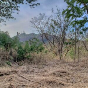Jungle Cool, 4km to the Beach, but mere steps to Pool