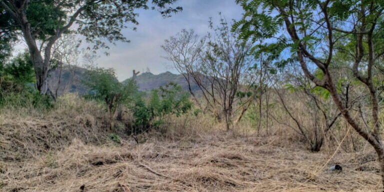 New Price Alert: Jungle Cool Lot Near the Beach for Just $24,000!