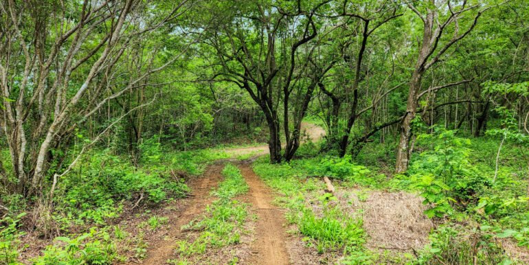 16+ Acres of Lush Hilltop Forest, San Juan del Sur