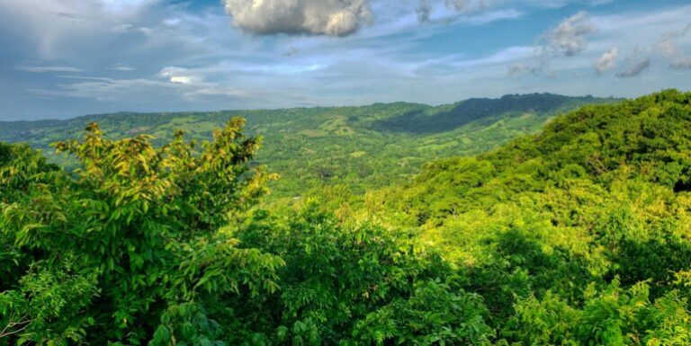 Price Update Alert: Own 75 Acres of Pristine Mountain Forest in San Juan del Sur!