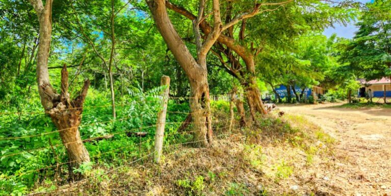 Price Reduced on Prime Development Land in Remanso – Build Your Dream Project Today!