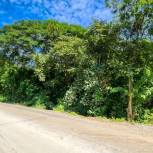 Road to Remanso: Future site of your commercial or residential project.