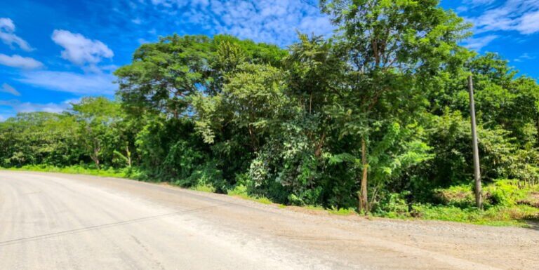 Unveiled Opportunity: Prime Land on Road to Remanso – Price Updated!