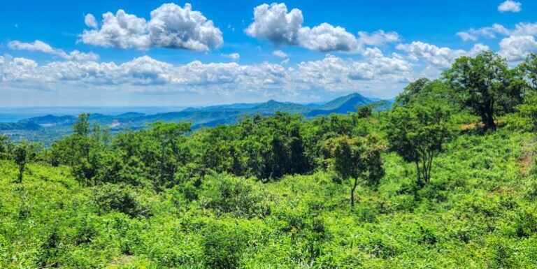 Price Update! Seize Your Slice of Paradise: 12 Acres with Ocean Views in Peaceful San Juan del Sur!