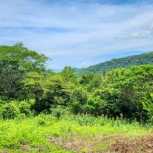 Double Lot, Half Price Ocean & Mountain Views