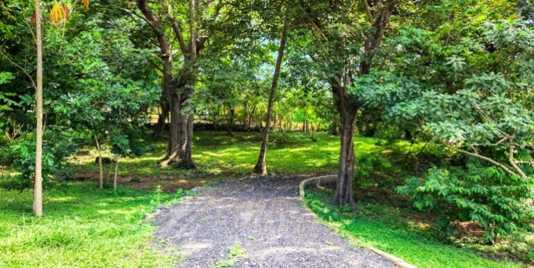 Tropical Paradise at a New Price – Stunning Ometepe Hacienda Now Available!