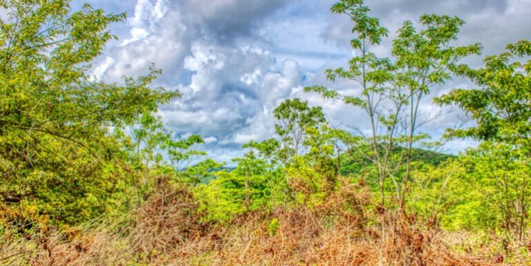 Price Slash! Nature’s Paradise Awaits You in San Juan del Sur – Only $35,000!