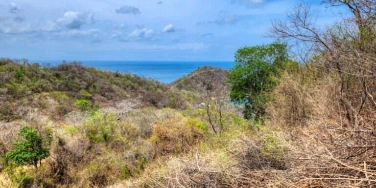Price Alert! Snag Your Ocean View Dream Lot in Paradise Bay for Just $49,000!