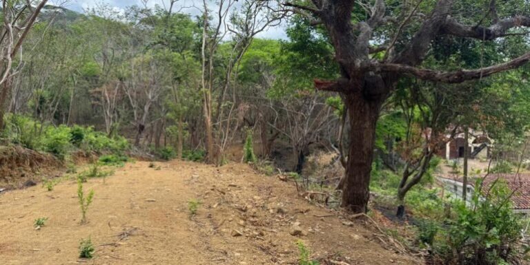 Price Reduced! 3 Acres of Prime Land Near Las Escadas Pickleball Courts in San Juan del Sur