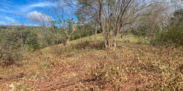 Natural Paradise Views @ Arriba Verde Lot 29 - Image 2