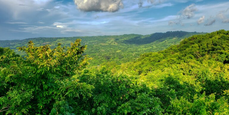 16+ Acres of Lush Hilltop Forest, San Juan del Sur - Image 2