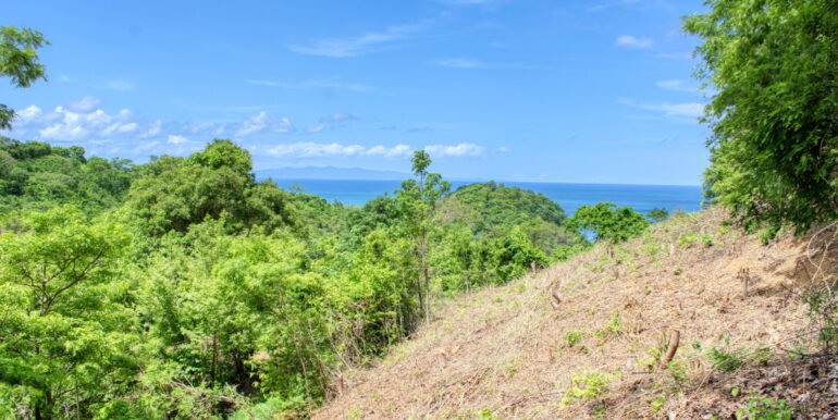 Dream ocean view lot, BARGAIN in Paradise Bay! - Image 2
