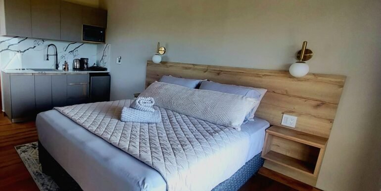 Your Own Private ocean view Retreat above Playa Remanso - Image 3