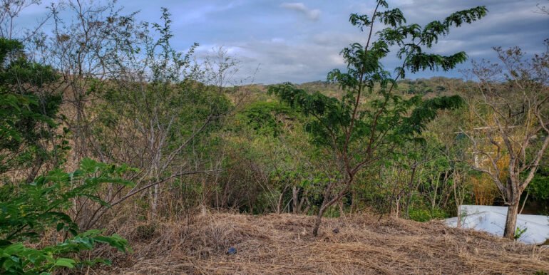 Jungle Cool, 4km to the Beach, but mere steps to Pool - Image 3