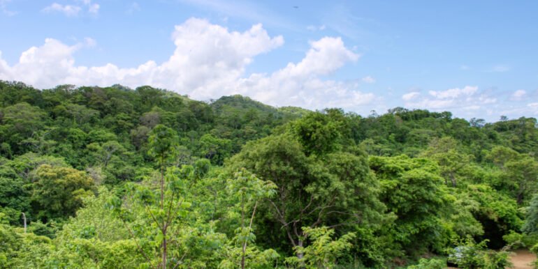 Dream ocean view lot, BARGAIN in Paradise Bay! - Image 3