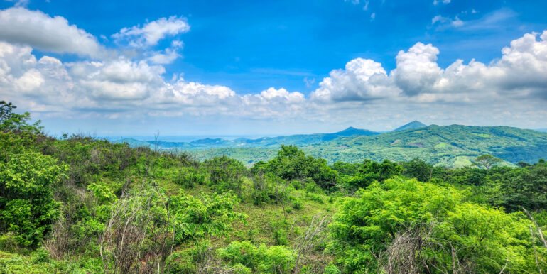 20 Acre Canyon Hills Estate Parcel - Image 4