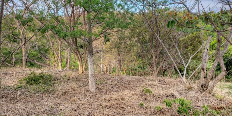 Jungle Cool, 4km to the Beach, but mere steps to Pool - Image 4