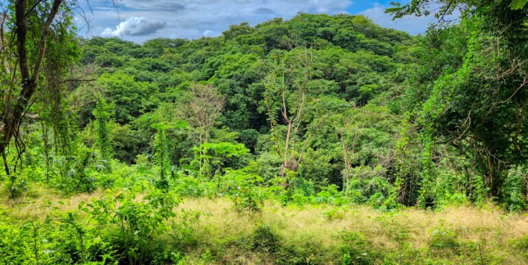 16+ Acres of Lush Hilltop Forest, San Juan del Sur - Image 4