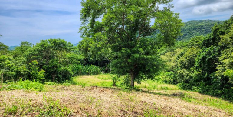 Double Lot, Half Price Ocean & Mountain Views - Image 4