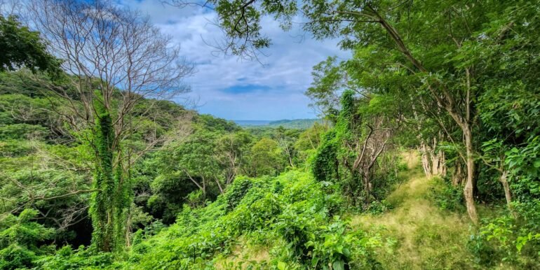46 acres, Ocean Views, El Baston, SJDS - Image 5