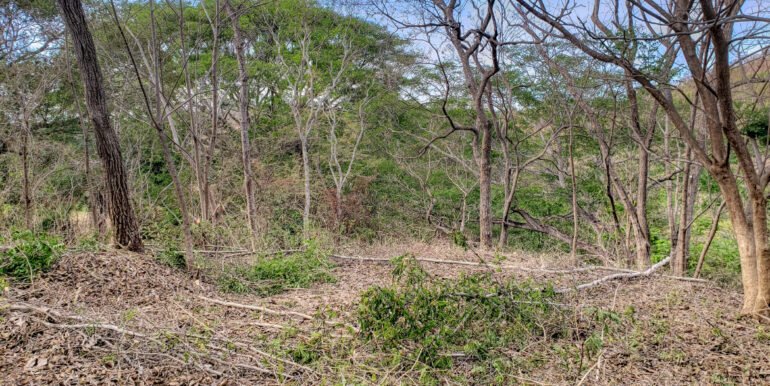 Jungle Cool, 4km to the Beach, but mere steps to Pool - Image 5