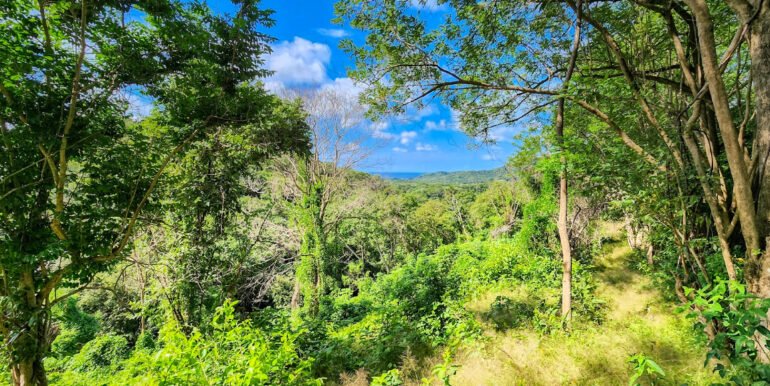 16+ Acres of Lush Hilltop Forest, San Juan del Sur - Image 5