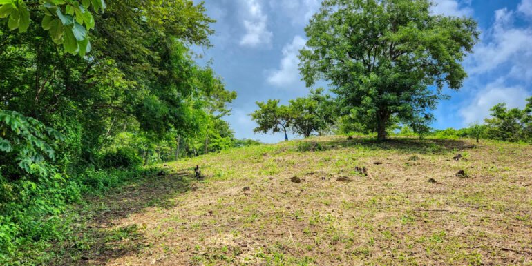 Double Lot, Half Price Ocean & Mountain Views - Image 5