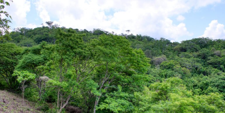 Dream ocean view lot, BARGAIN in Paradise Bay! - Image 5