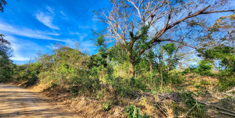 700 Meters Frontage near Playa Majagual - Image 6