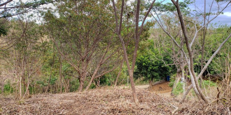 Jungle Cool, 4km to the Beach, but mere steps to Pool - Image 6