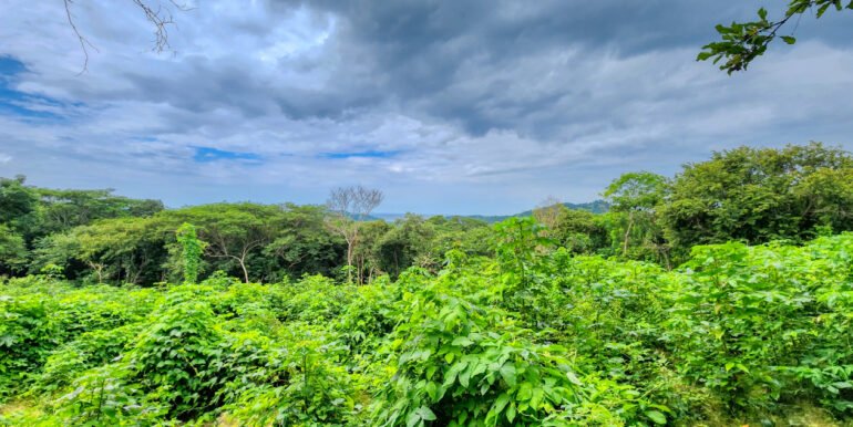 16+ Acres of Lush Hilltop Forest, San Juan del Sur - Image 6