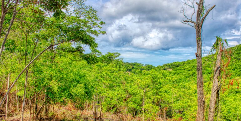 2.5 acres Nature’s Paradise, Las Fincas Lot 20 - Image 6