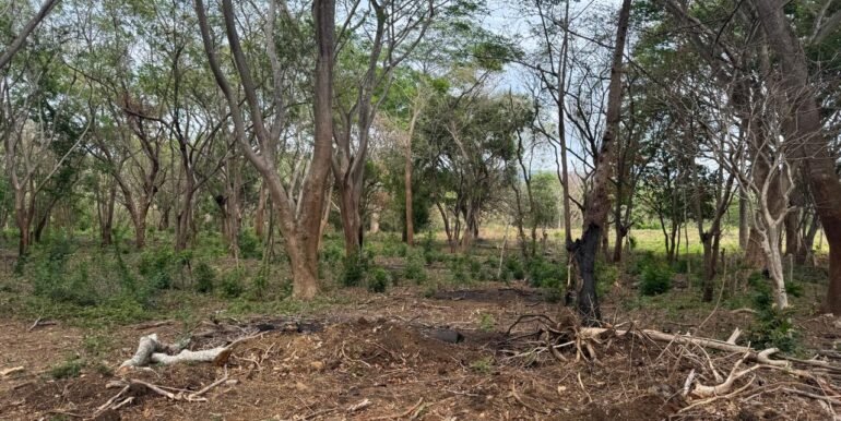3 Acres located beside the Las Escadas Pickleball Courts - Image 6
