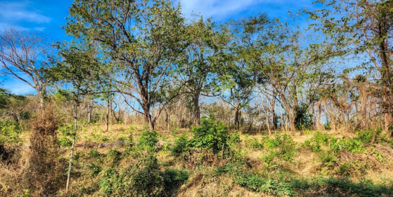700 Meters Frontage near Playa Majagual - Image 7