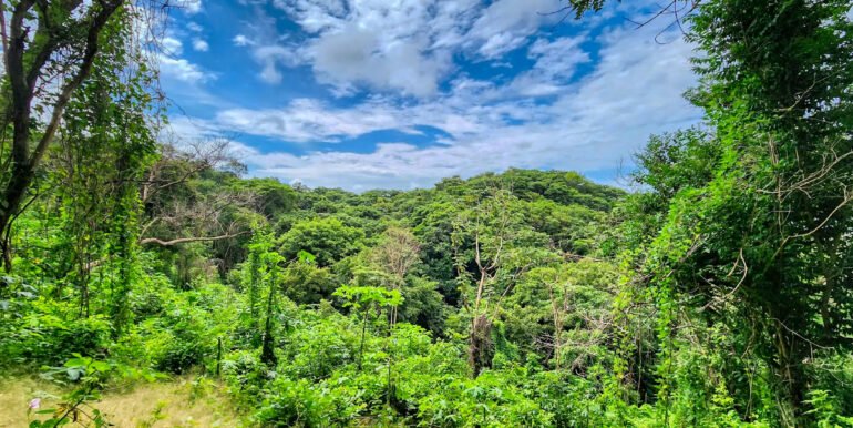 16+ Acres of Lush Hilltop Forest, San Juan del Sur - Image 7
