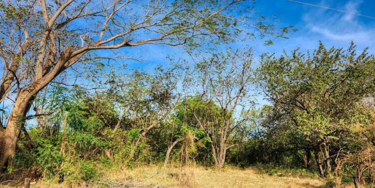 700 Meters Frontage near Playa Majagual - Image 8