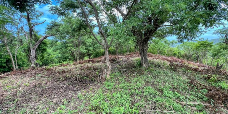 Natural Paradise Views @ Arriba Verde Lot 29 - Image 8