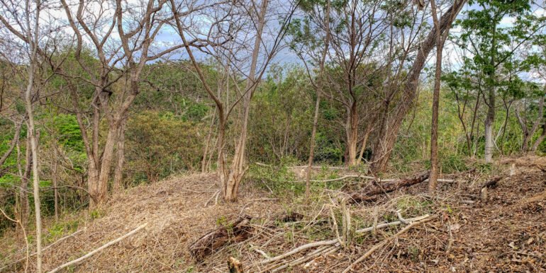 Jungle Cool, 4km to the Beach, but mere steps to Pool - Image 8