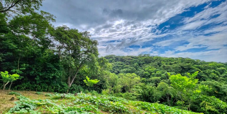 16+ Acres of Lush Hilltop Forest, San Juan del Sur - Image 8