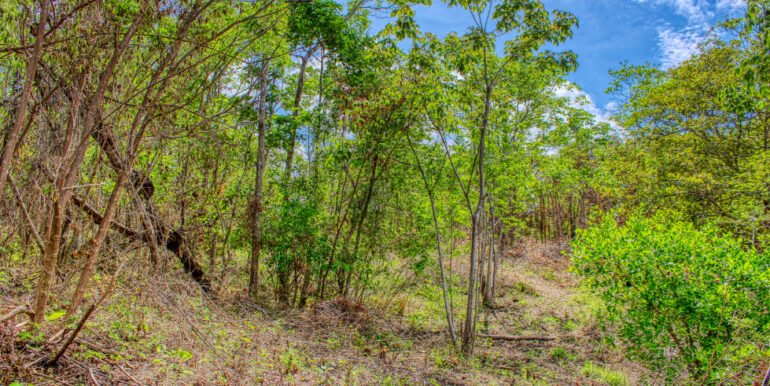2.5 acres Nature’s Paradise, Las Fincas Lot 20 - Image 8
