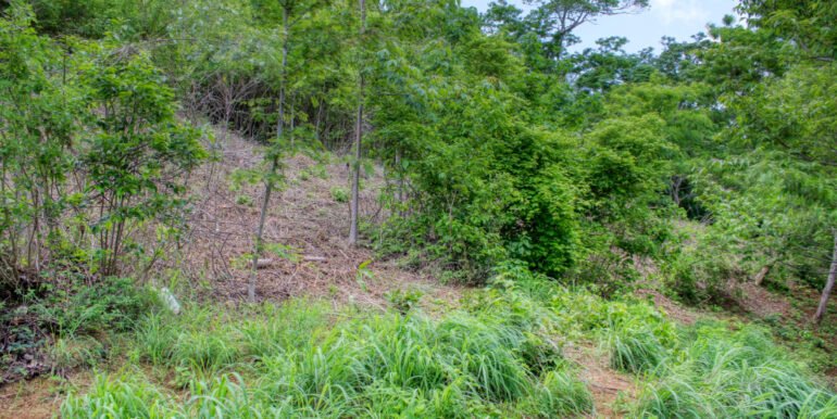 Dream ocean view lot, BARGAIN in Paradise Bay! - Image 8