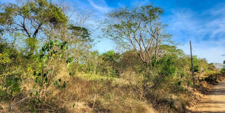 700 Meters Frontage near Playa Majagual - Image 9