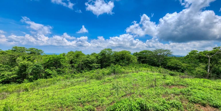 20 Acre Canyon Hills Estate Parcel - Image 9