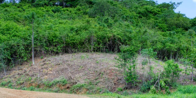 Dream ocean view lot, BARGAIN in Paradise Bay! - Image 9