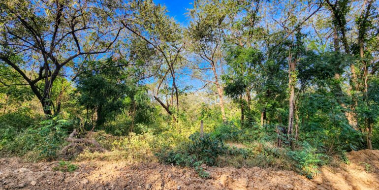 700 Meters Frontage near Playa Majagual - Image 10